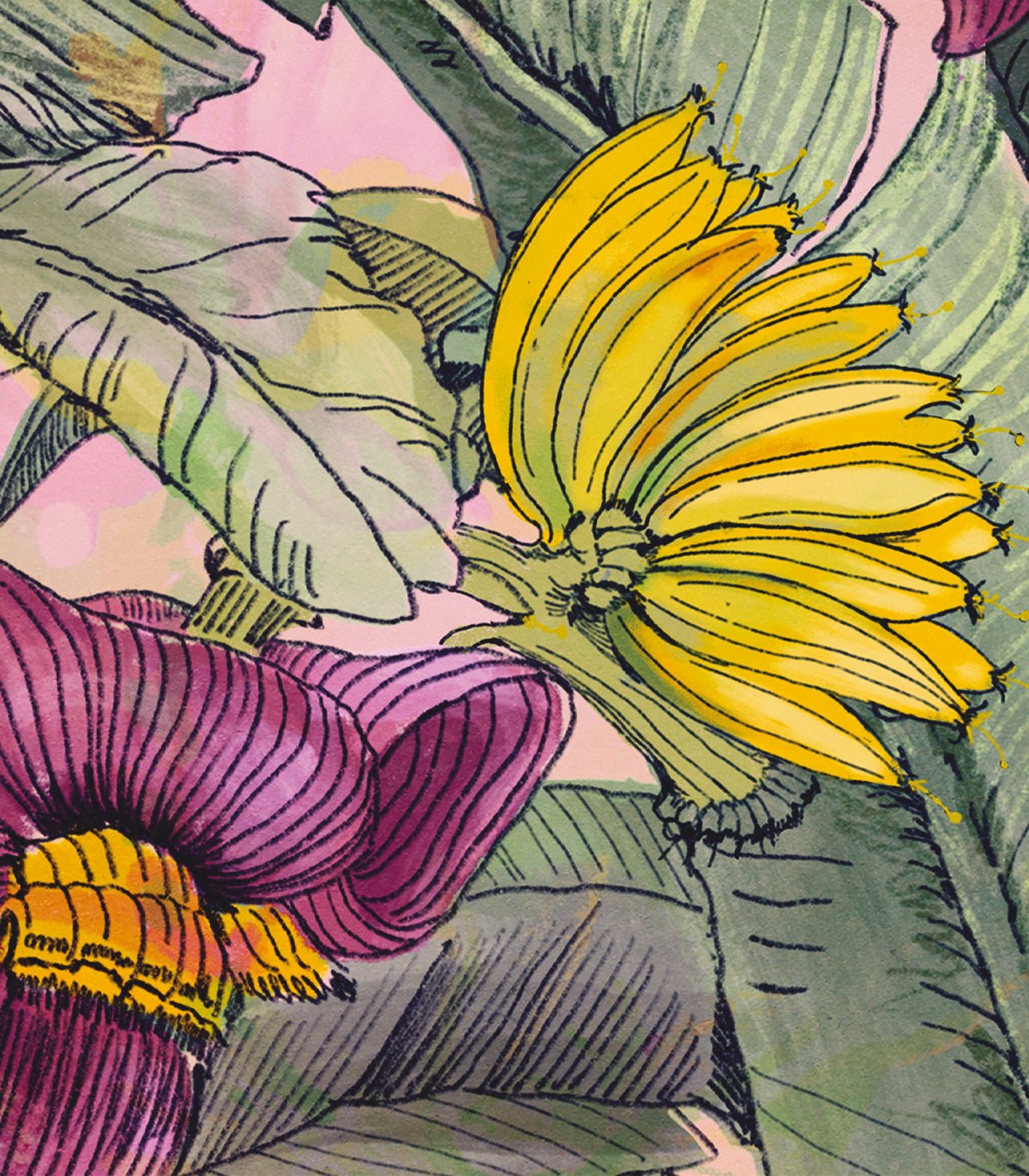 Tapeta Banana Tree - Wallcolors®