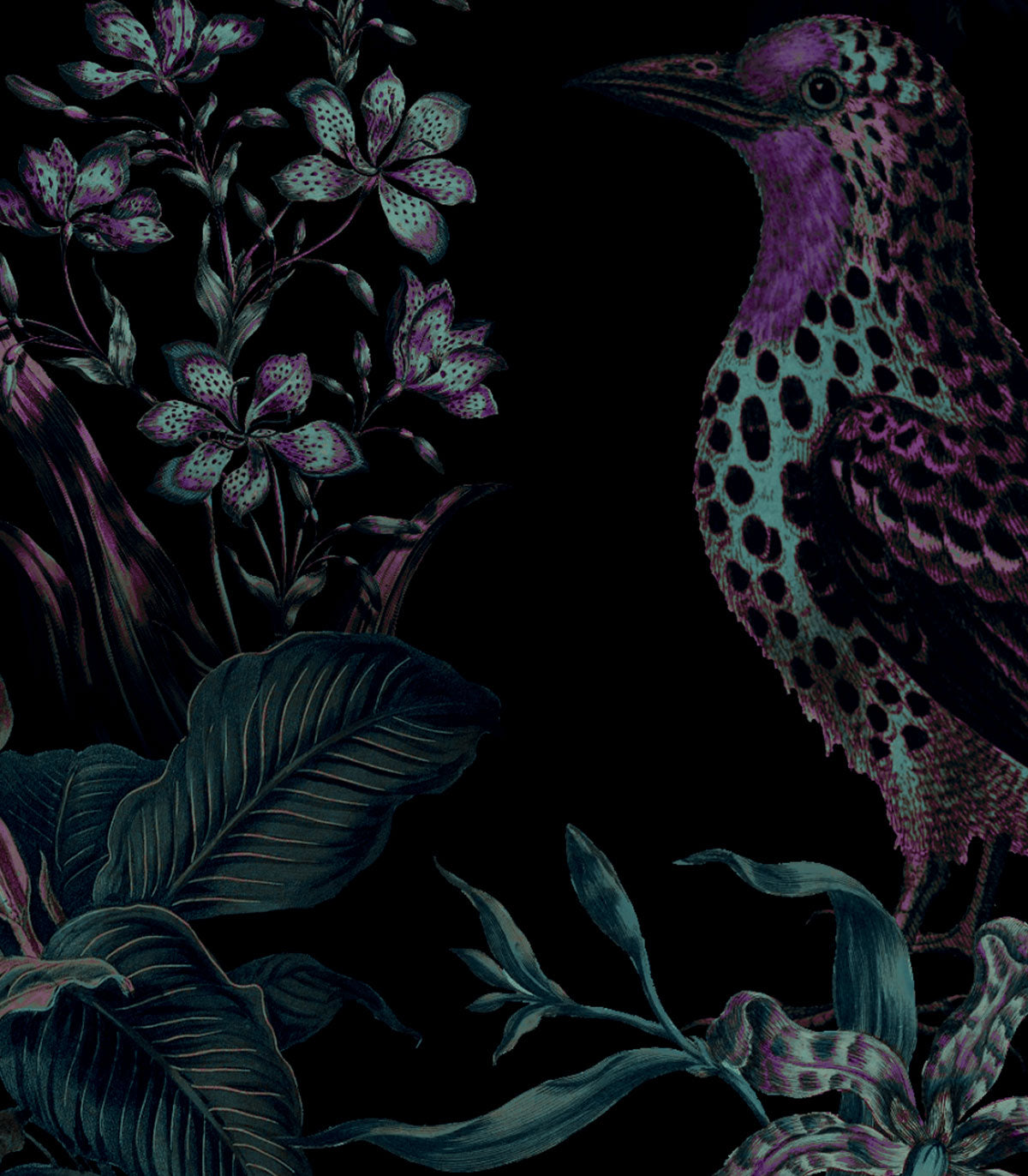 Tapeta Botanic Violet