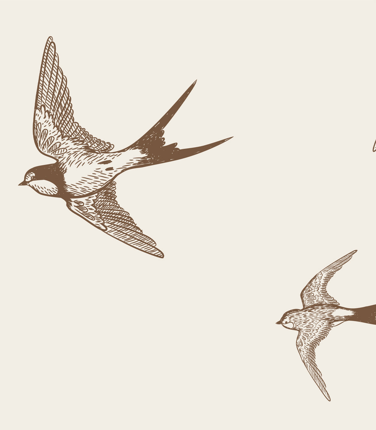 Tapeta Brown Swallow