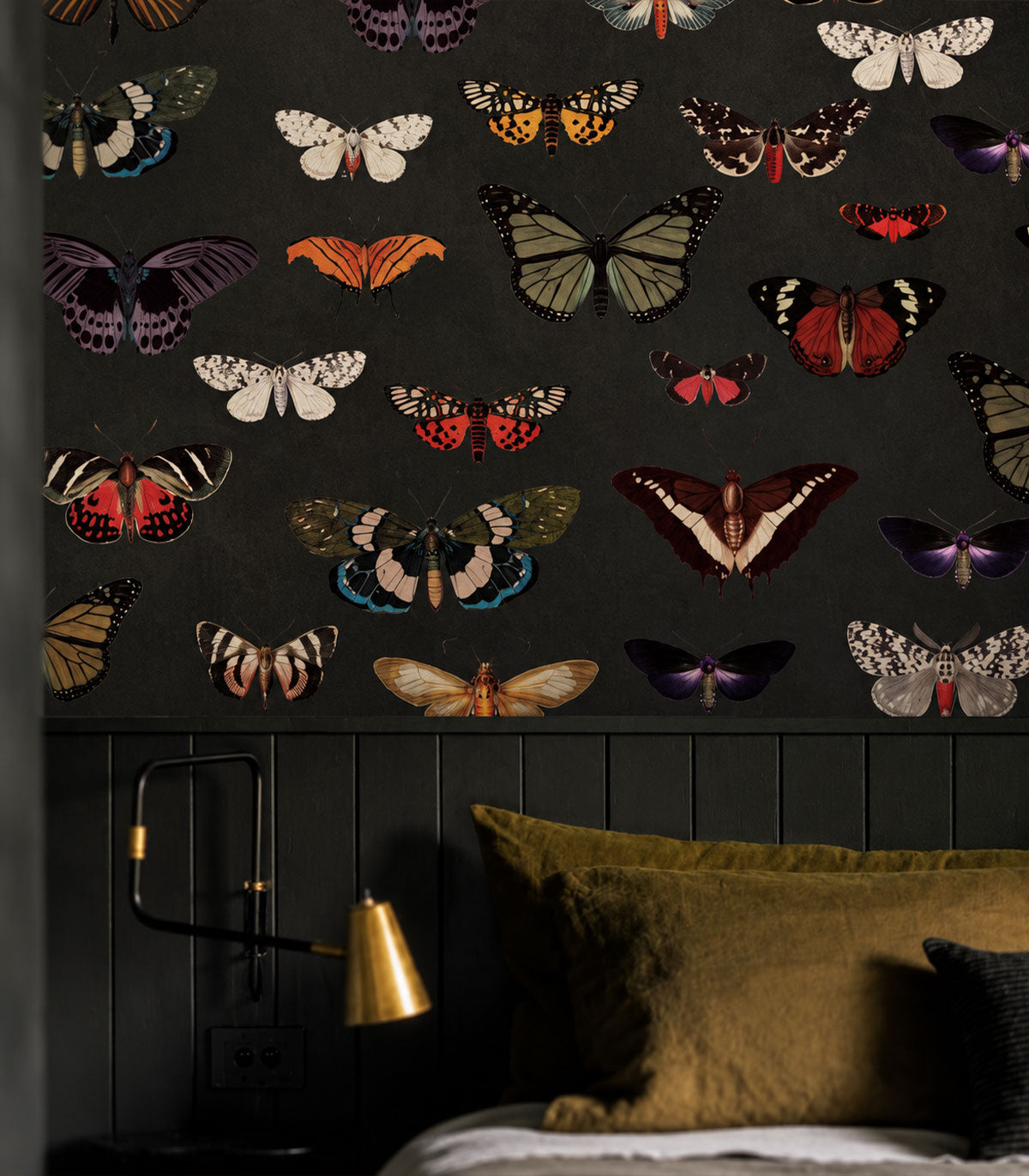 Papel pintado Colorful Butterfly Green