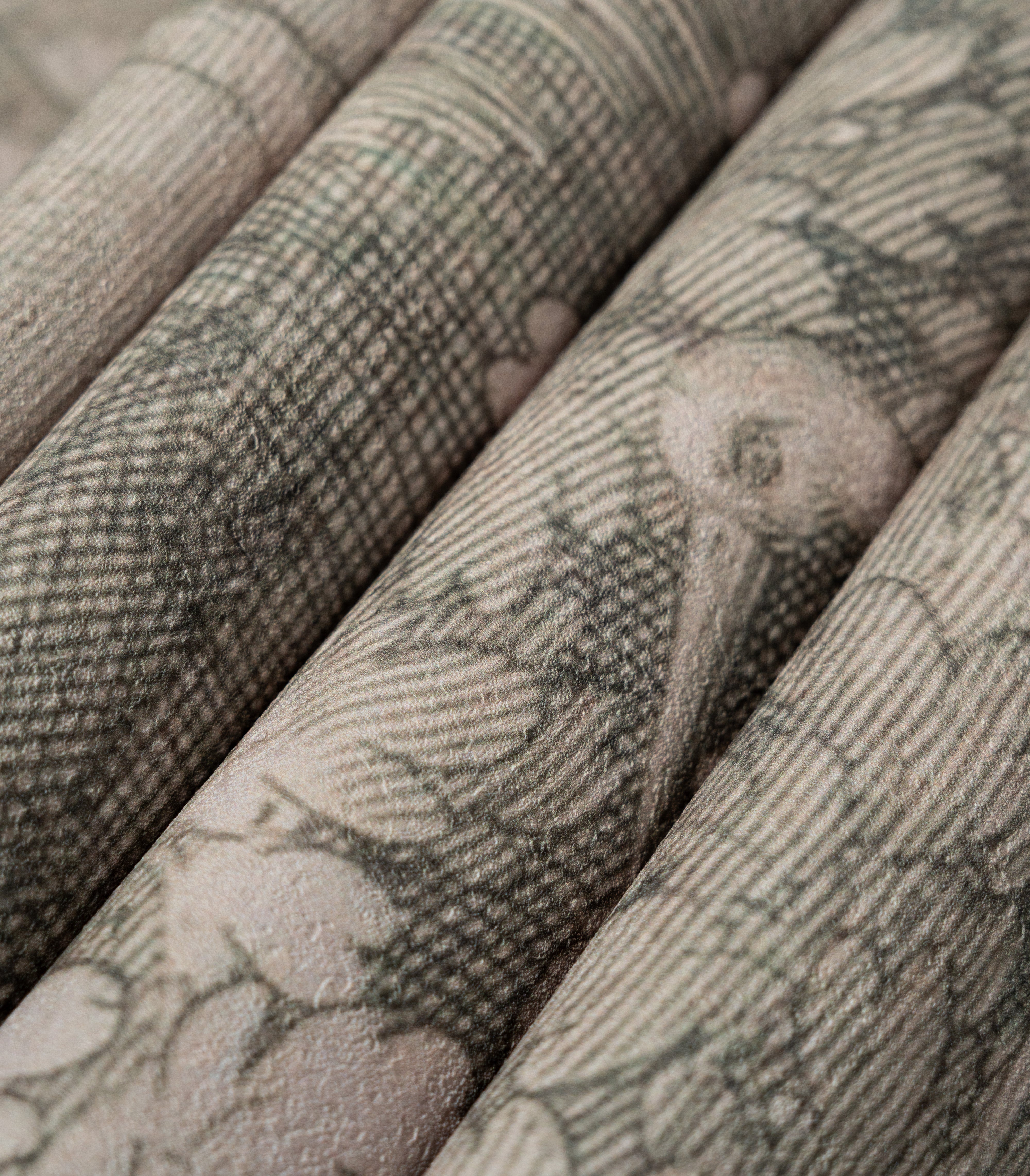 Papel pintado Timeless Trees Green