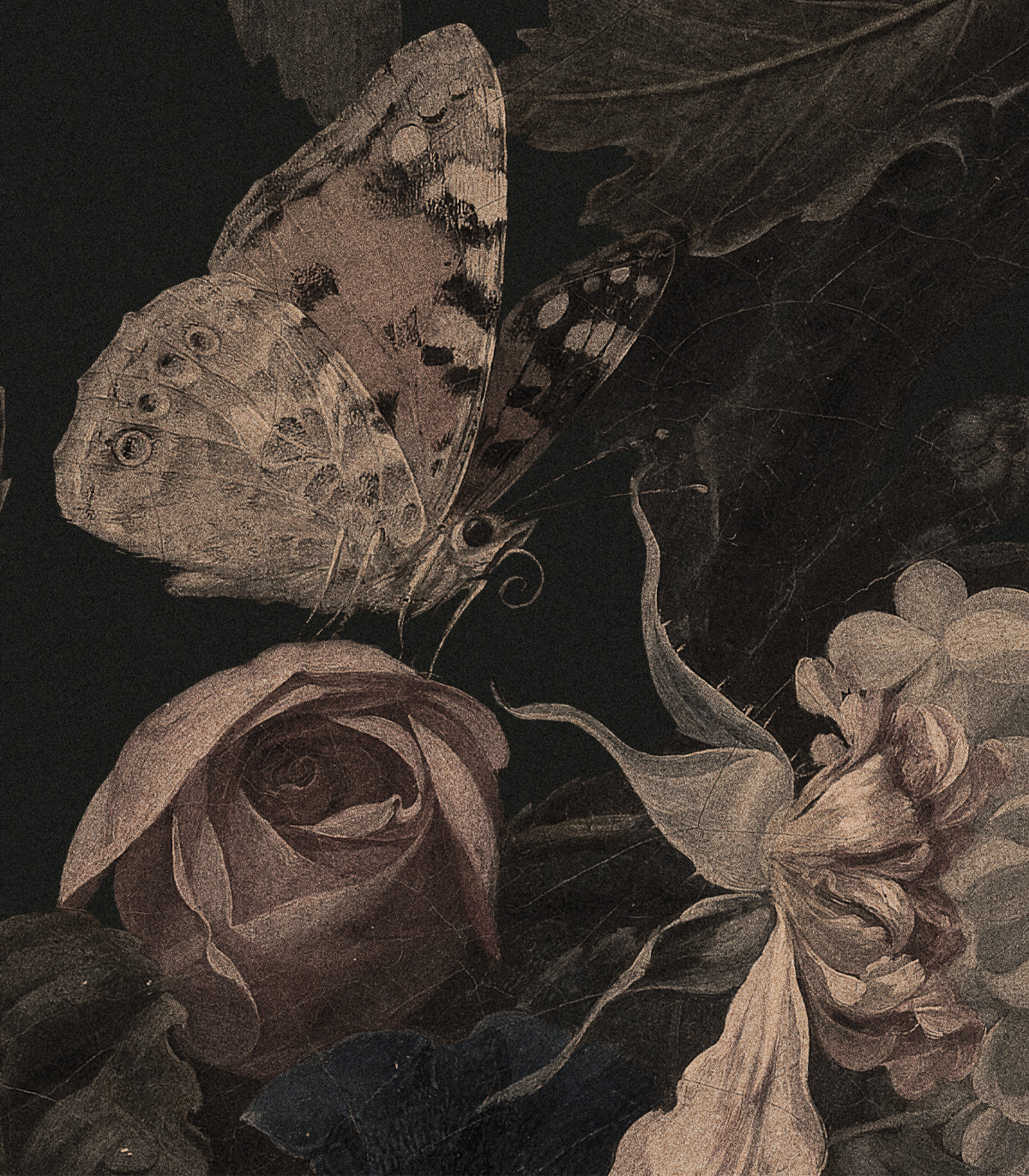 Tapeta Dragonfly Garden Black