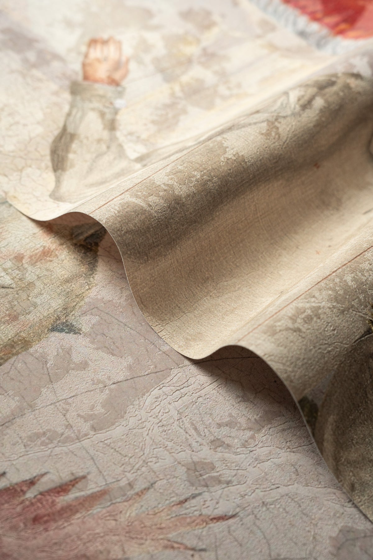 Papel pintado Forbidden Mushroom