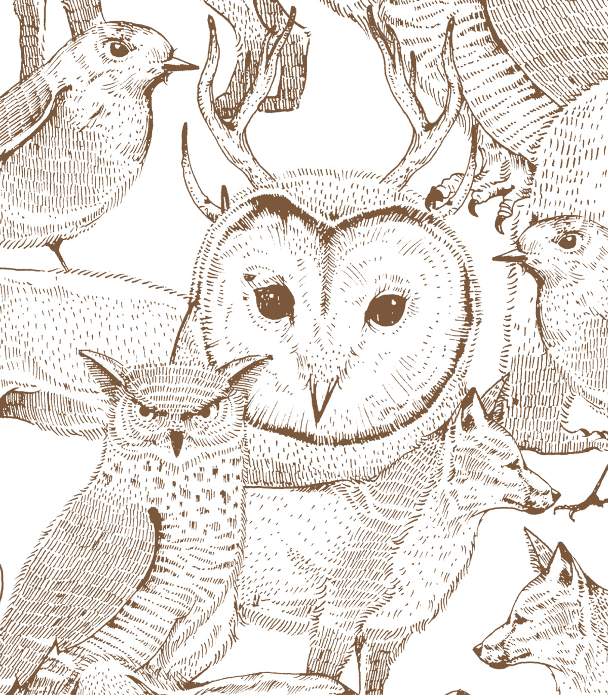 Tapeta Forest Friends Brown