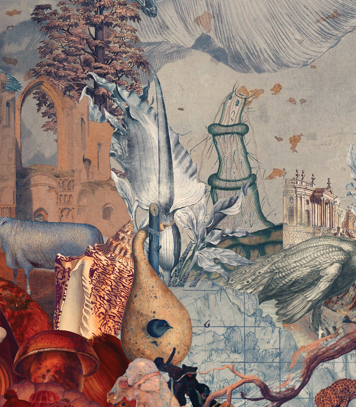 Tapeta Kingdom of All Creatures