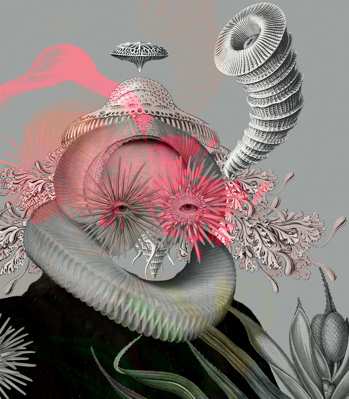 Tapeta Lady Medusa Gray