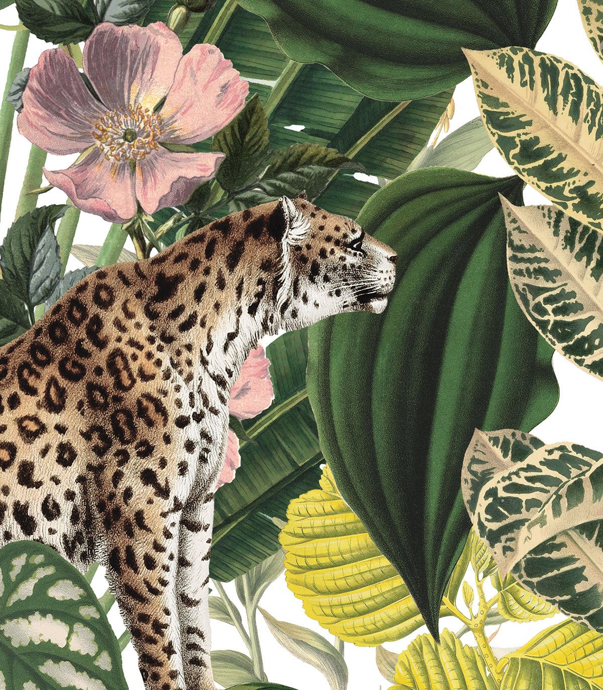 Tapeta Light Jungle - Wallcolors®