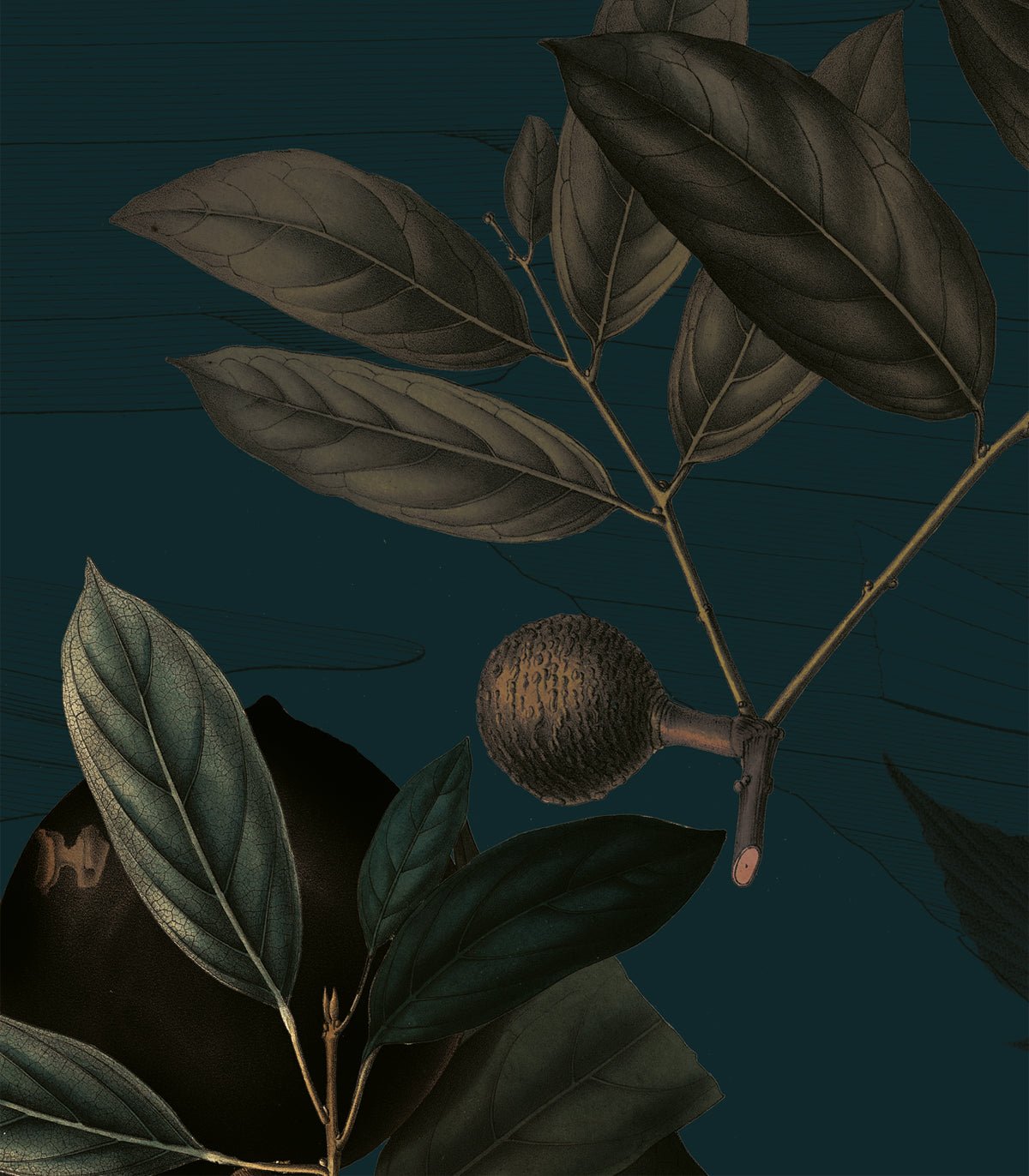 Tapeta Olive Branch - Wallcolors®