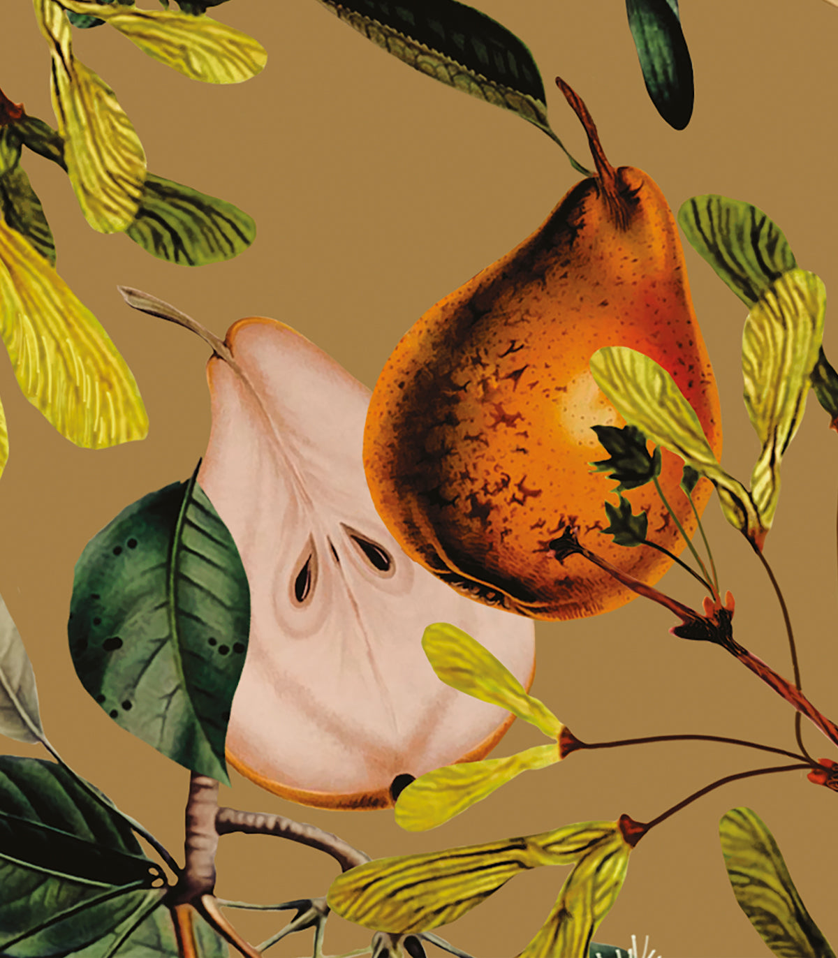 Tapeta Pear Beige
