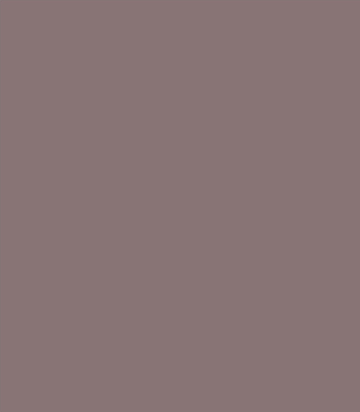 Arch Solid Powdered Earth - Wallcolors®