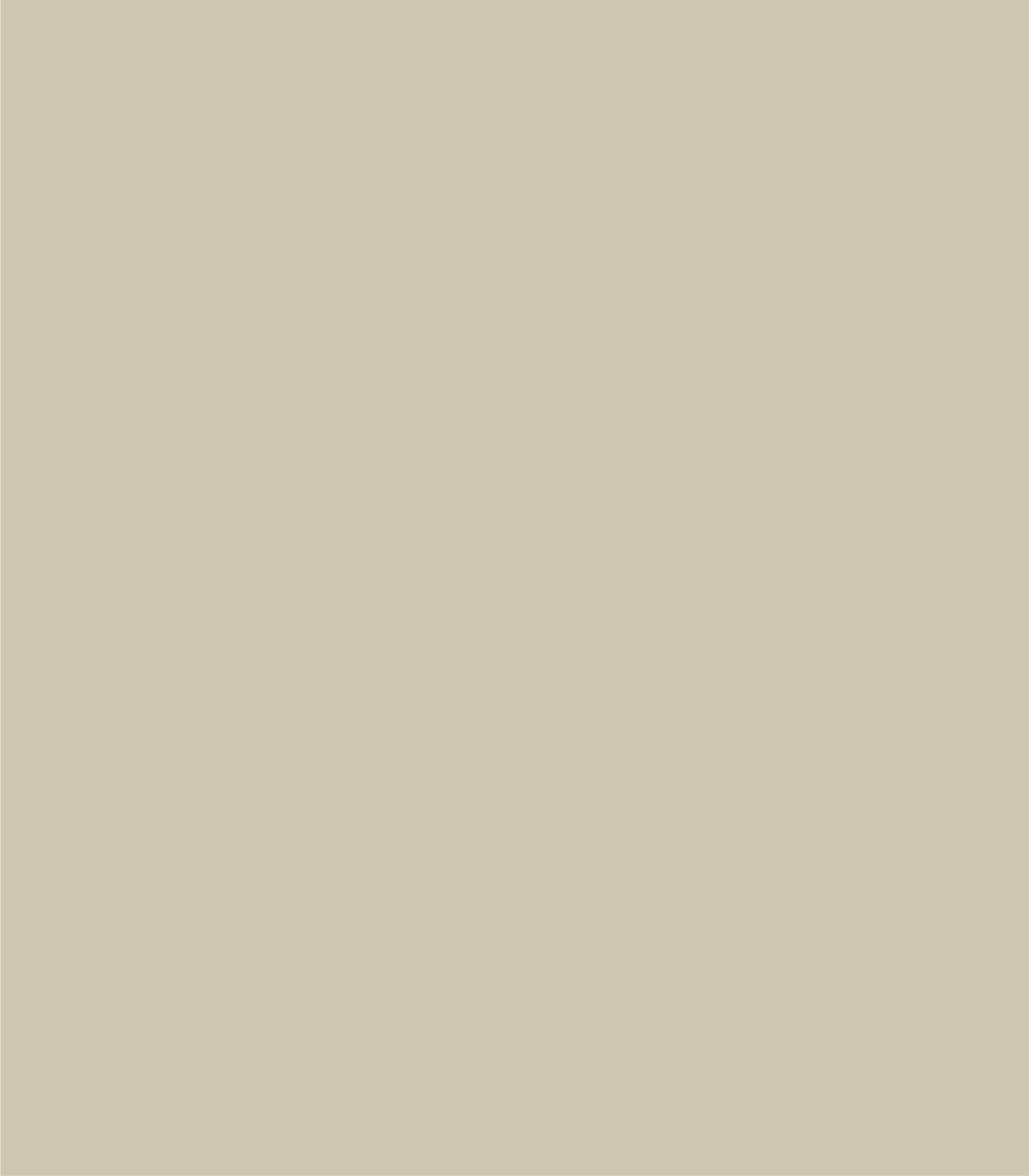 Arch Solid Powdered Earth - Wallcolors®