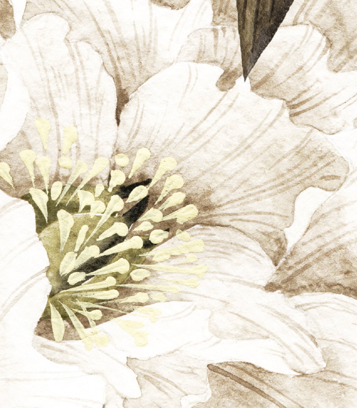 Tapeta Pretty beige - Wallcolors®
