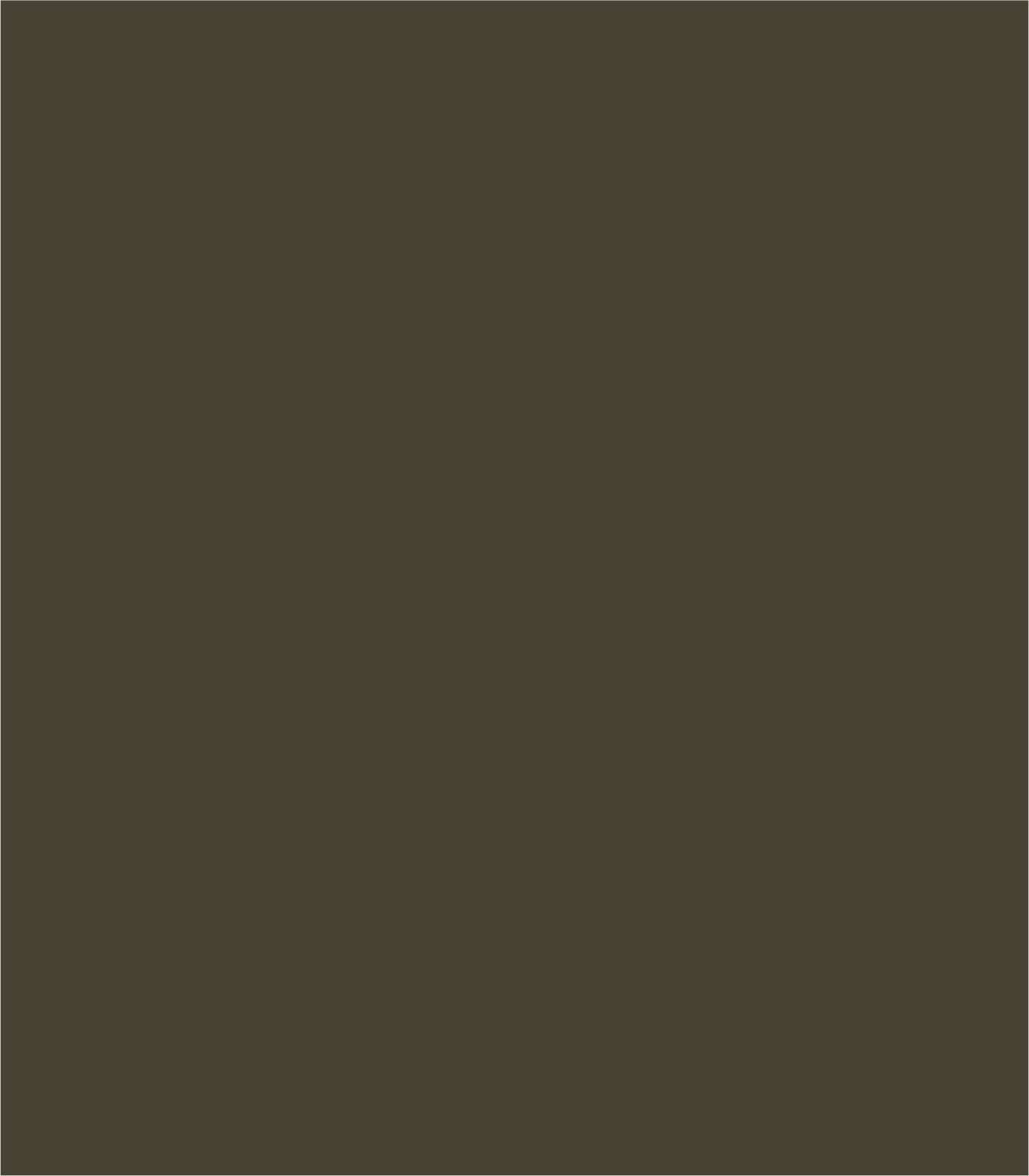 Arch Solid Soft Mineral