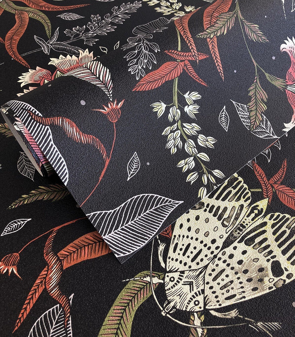 Tapeta Moth - Wallcolors®