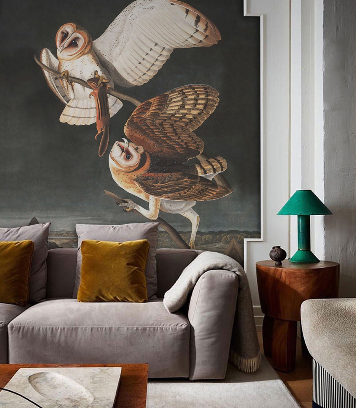 Tapeta Owls - Wallcolors®