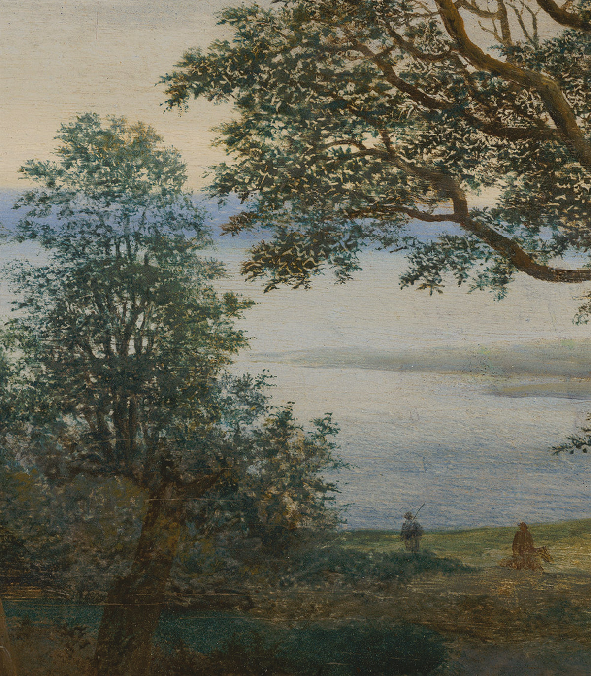 Papel pintado Evening Grove
