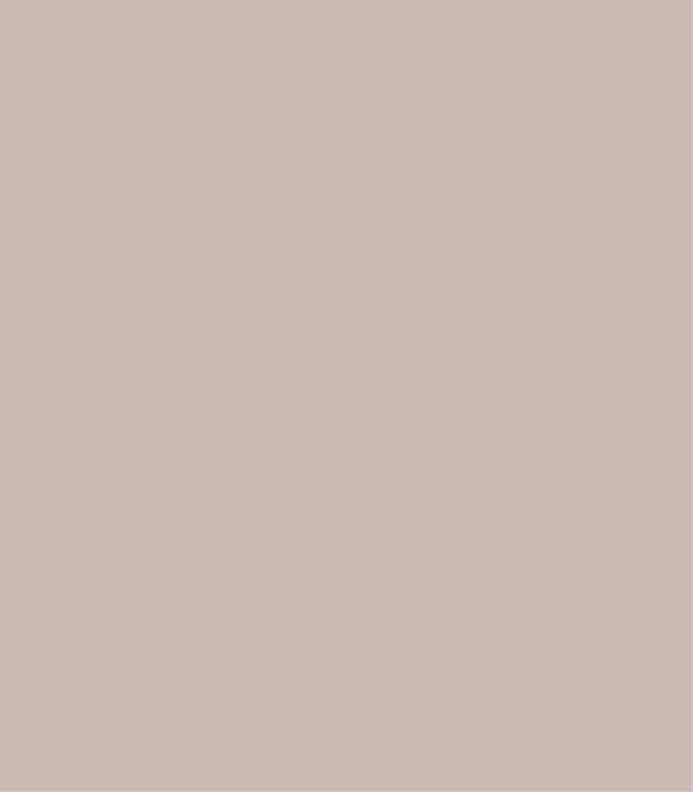 Arch Solid Powdered Earth - Wallcolors®