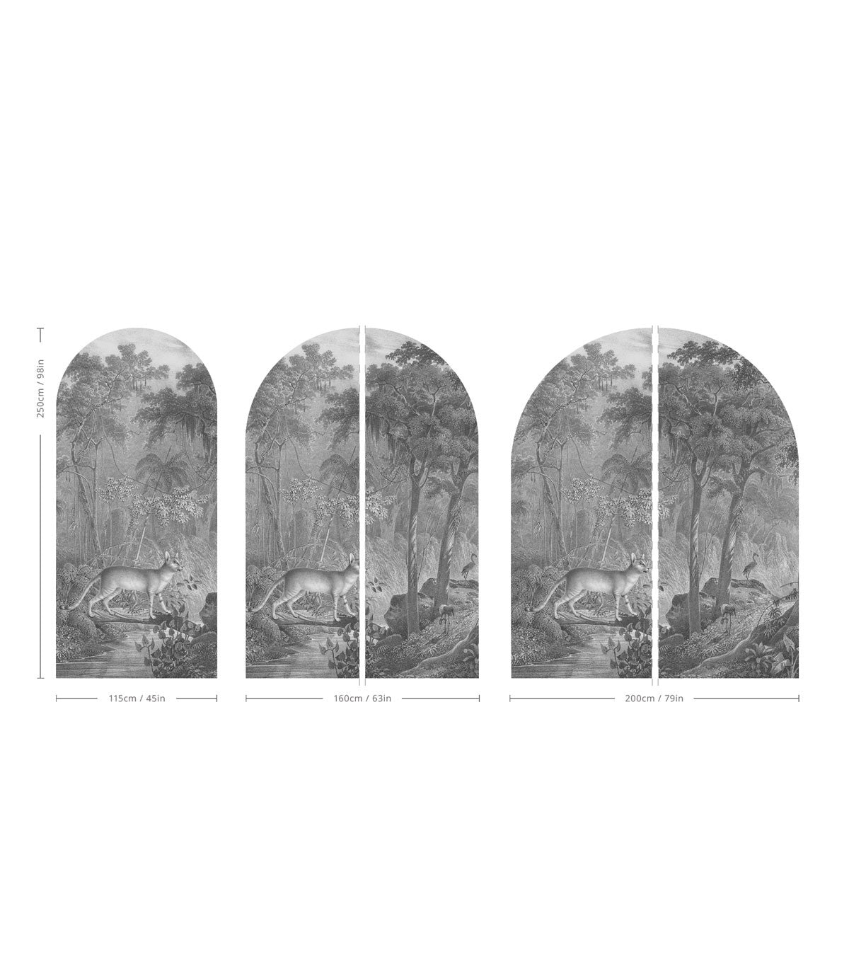 Arch Jungle Cat - Wallcolors®