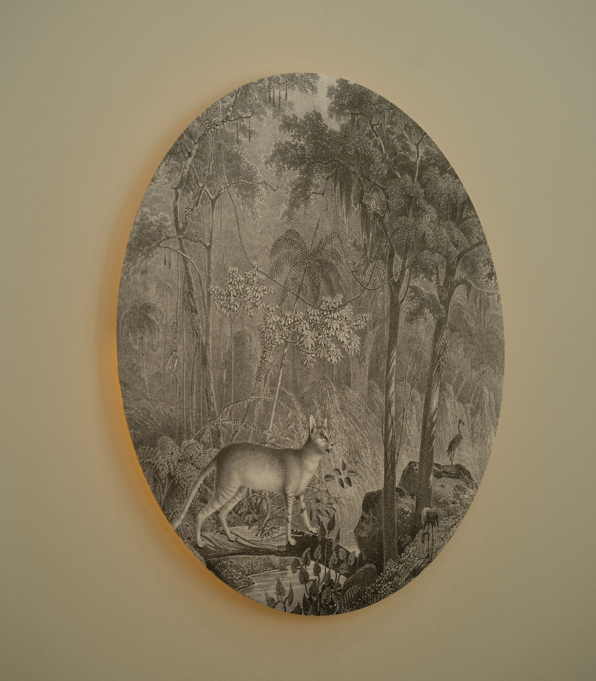 Dots Lighting Jungle Cat - Wallcolors®