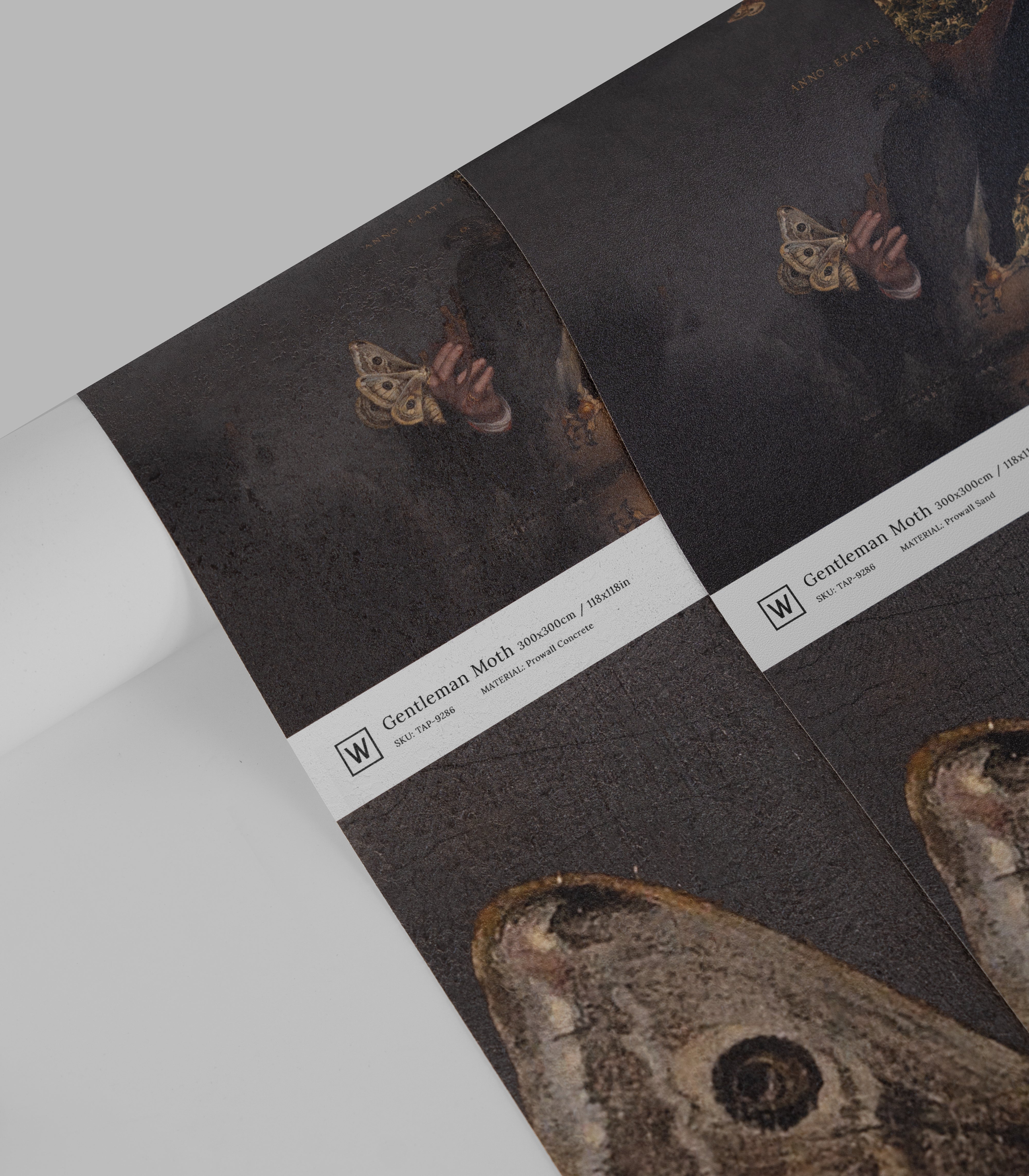 Papel pintado Gentleman Moth