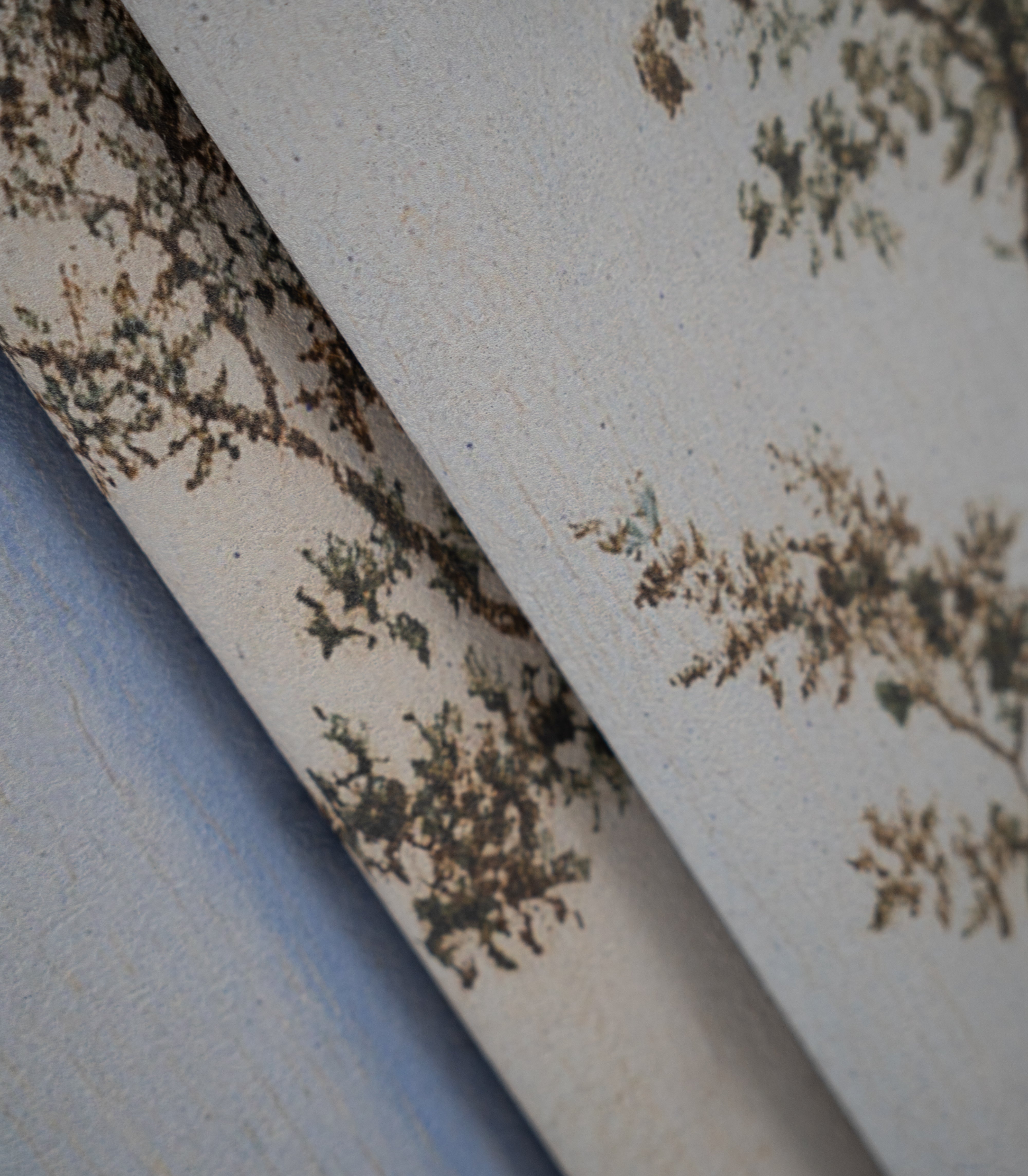 Papel pintado Evening Grove