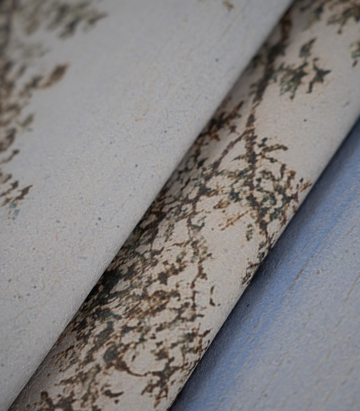 Papel pintado Evening Grove