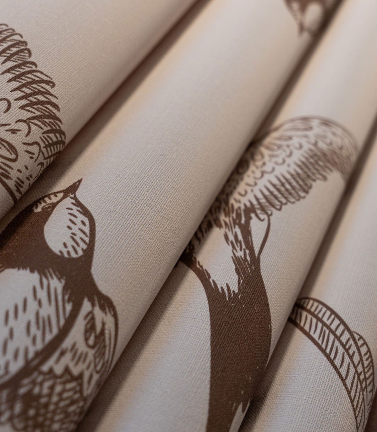 Tapeta Brown Swallow - Wallcolors®