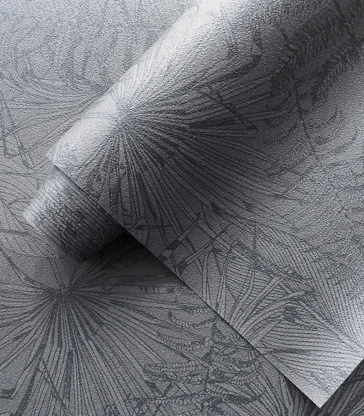 Tapeta Leaves Composition - Wallcolors®
