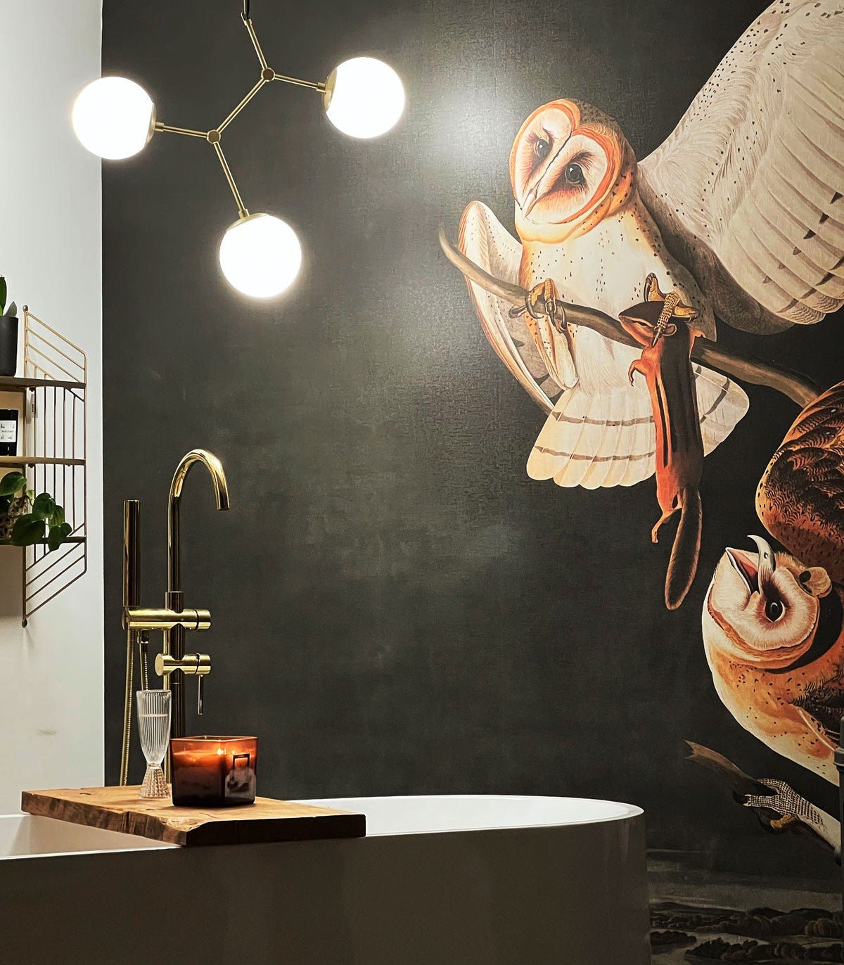 Tapeta Owls - Wallcolors®