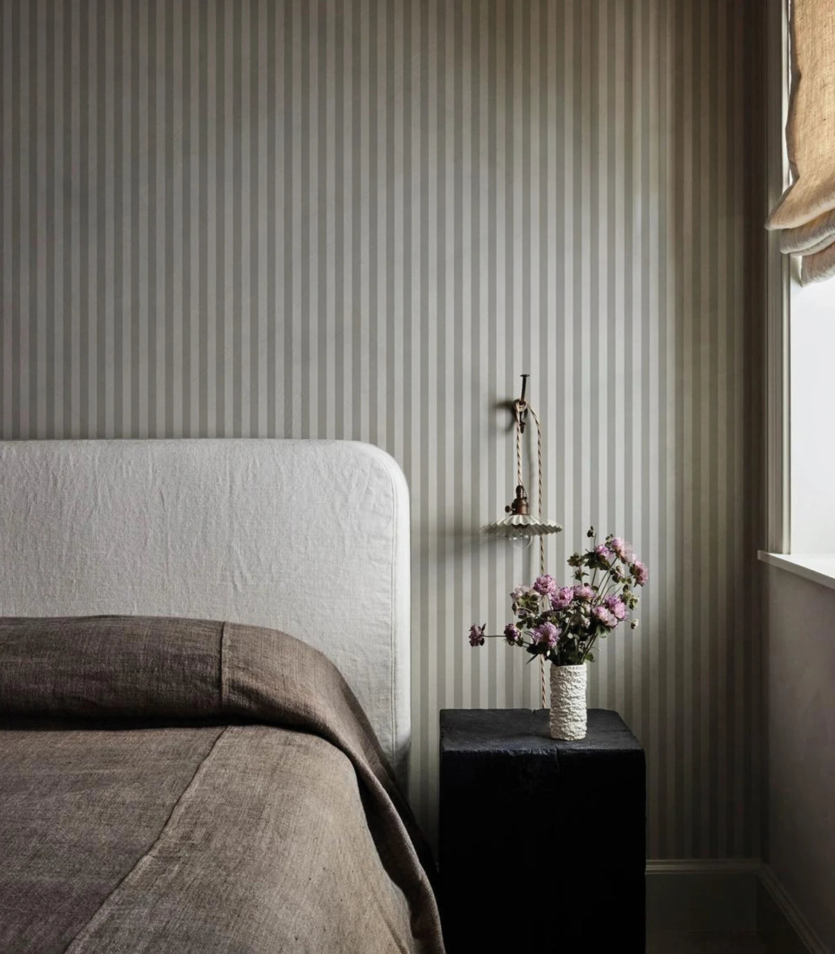 Stripe Studio