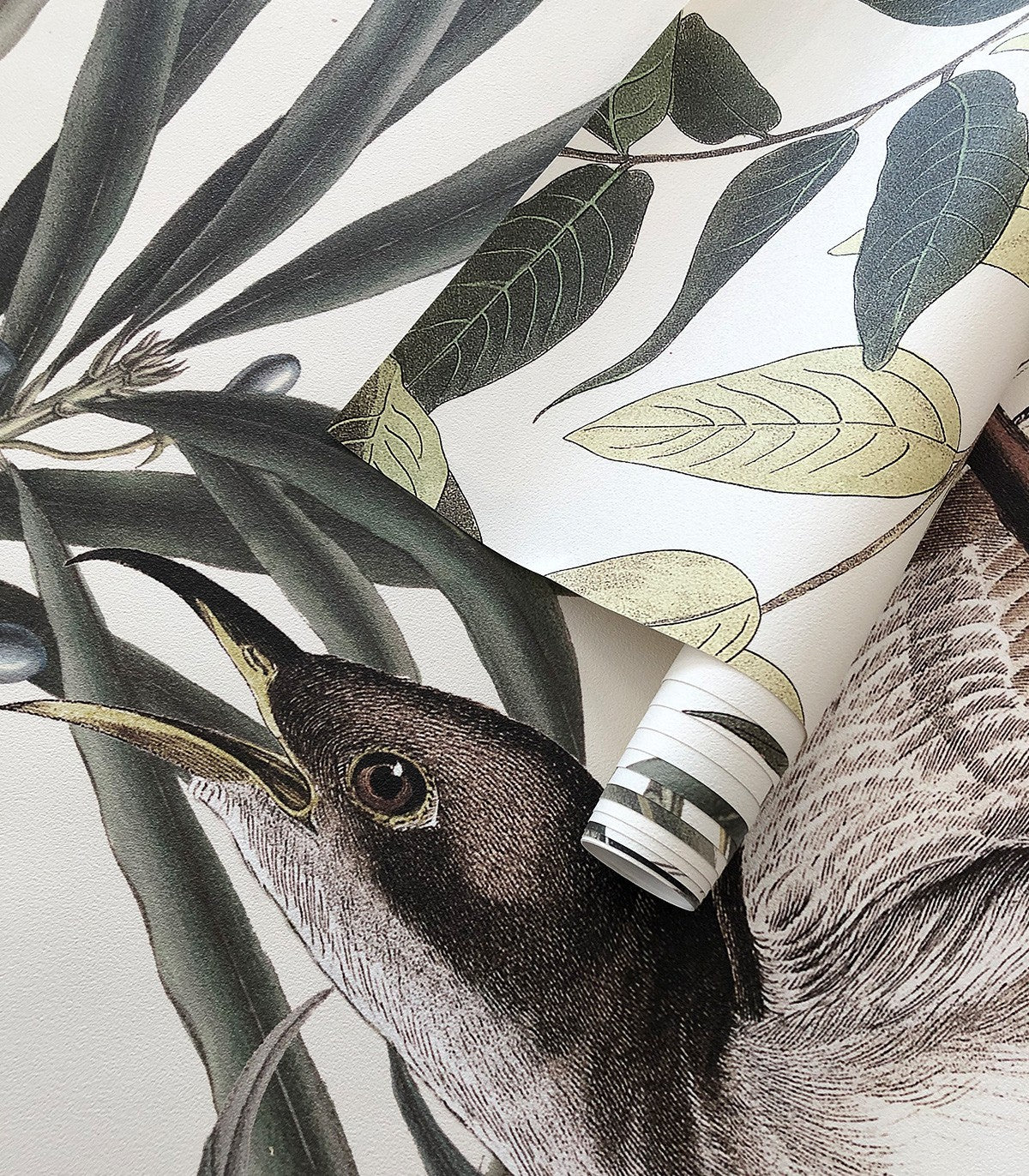 Tapeta Wagtail - Wallcolors®